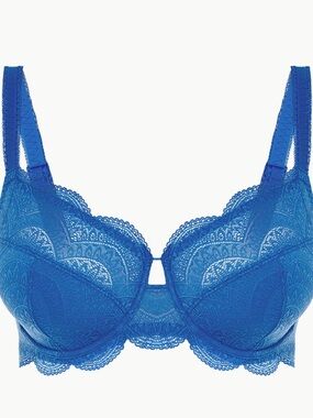 Simone Perele Blue Lace Underwire Bra